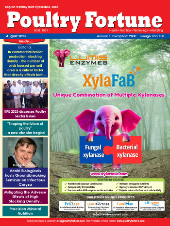 Magazine