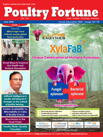 Magazine