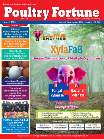 Magazine